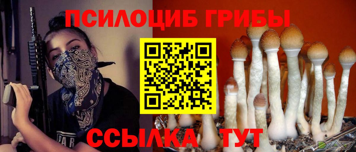 Вятские Поляны  Галлюциногенные грибы ЛСД  Вход с VPN 